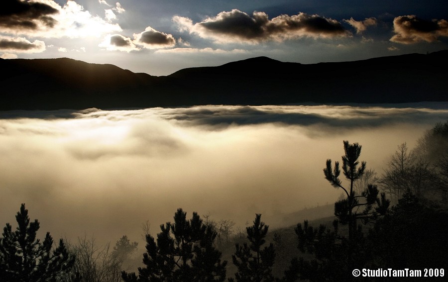 Nebbia al tramonto.jpg